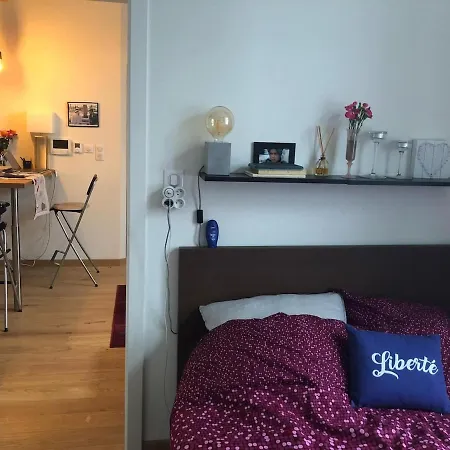 Beautiful 2p Near City Center And Inst European