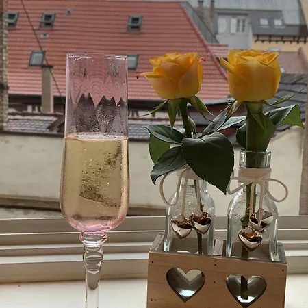 Beautiful 2p Near City Center And Inst European Appartement