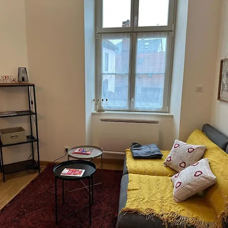 Appartement Beautiful 2p Near City Center And Inst European Schiltigheim